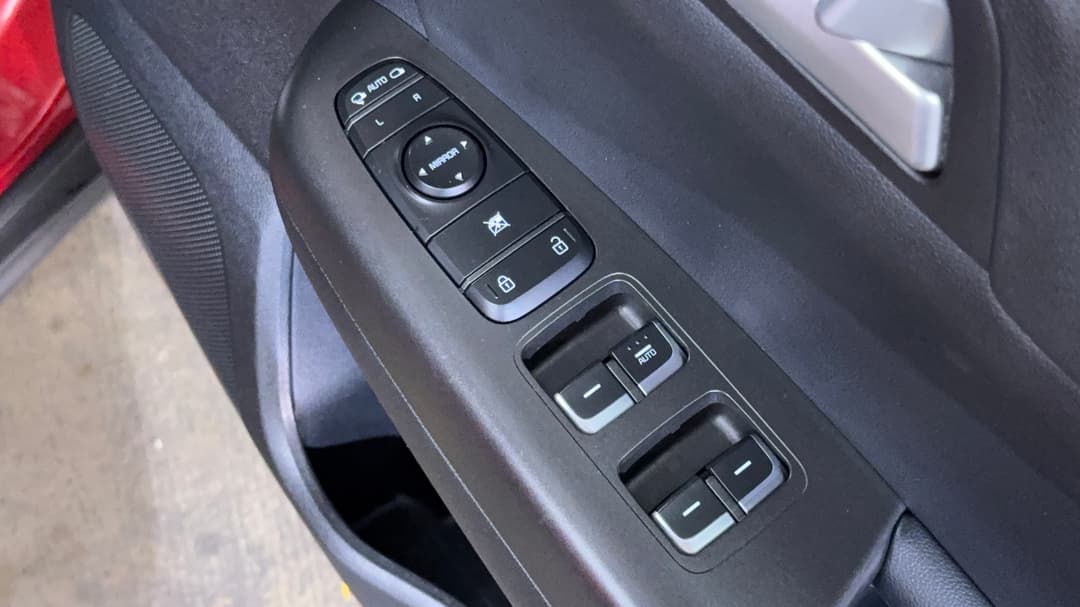 Drivers Side Door Panel Controls