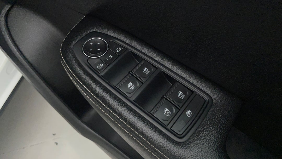 Drivers Side Door Panel Controls