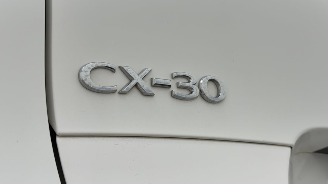 Badge (Boot Left Side)