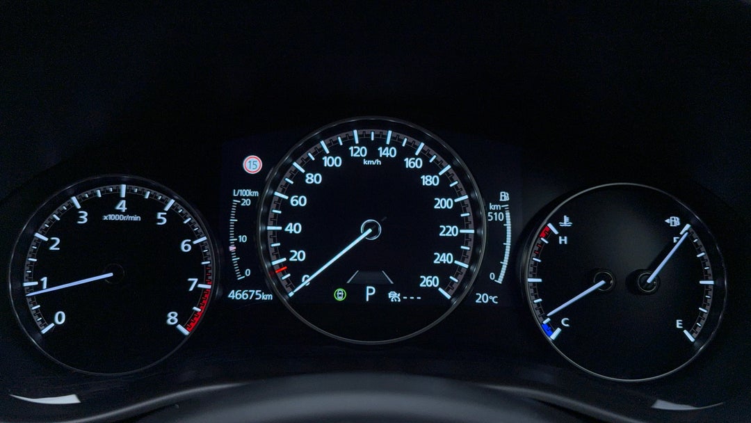 Odometer View