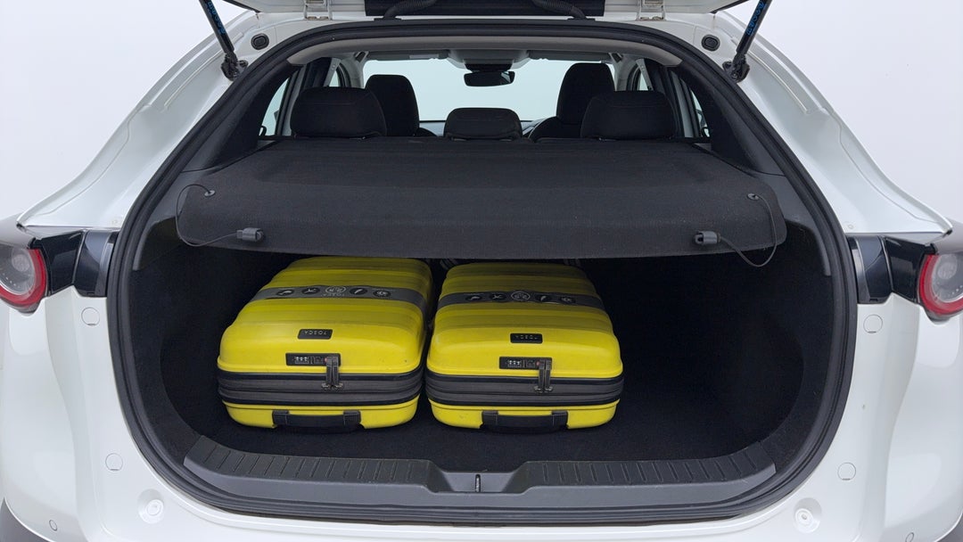 Boot Inside View with Luggage