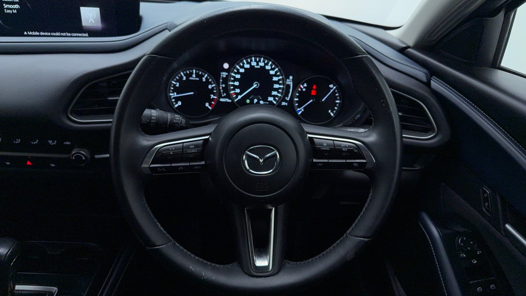 Steering Wheel Close-up