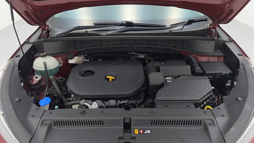 Open Bonnet (Engine)