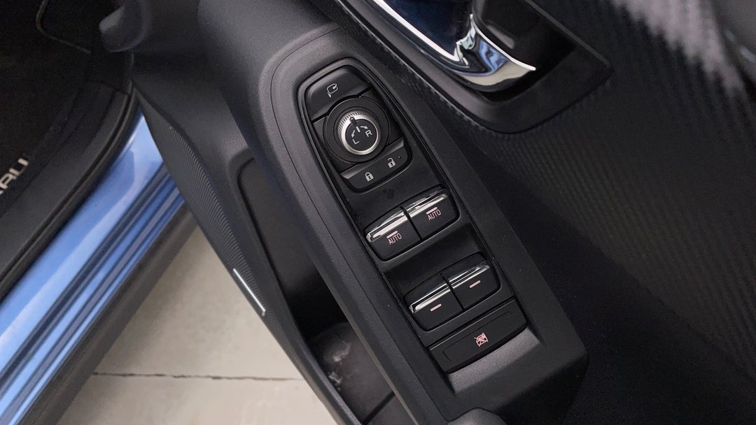 Drivers Side Door Panel Controls