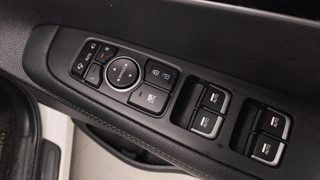 Drivers Side Door Panel Controls