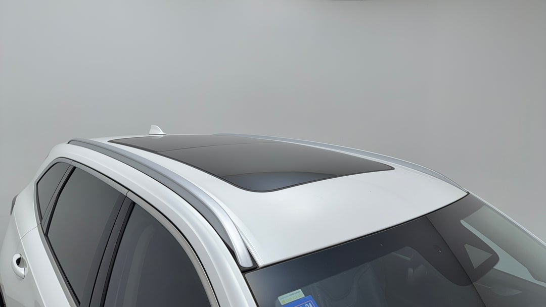 Roof/Sunroof View
