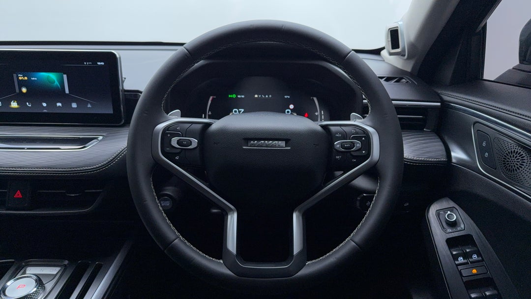 Steering Wheel Close-up