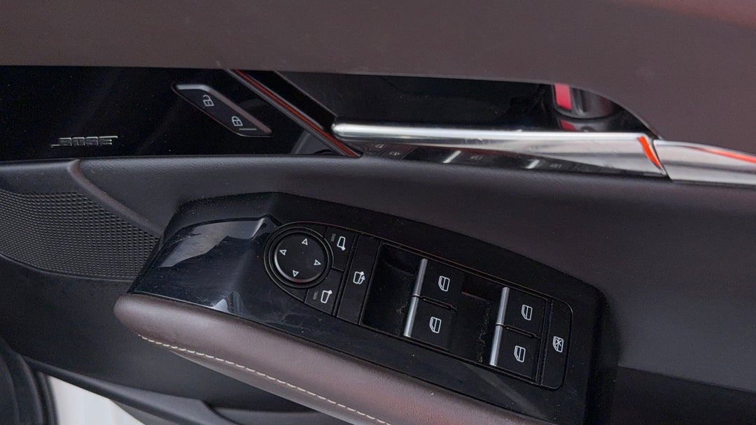 Drivers Side Door Panel Controls
