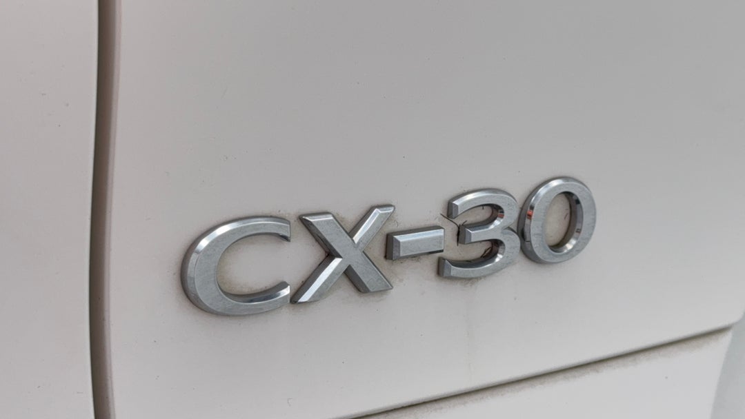 Badge (Boot Left Side)