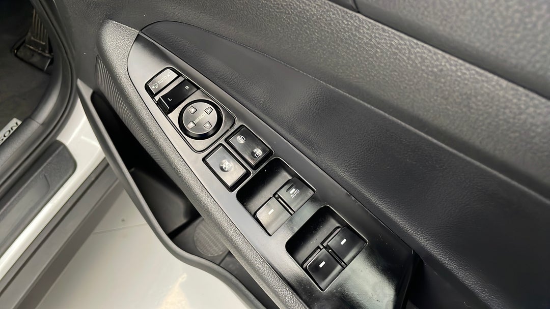 Drivers Side Door Panel Controls