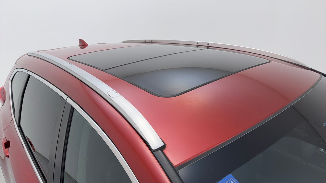 Roof/Sunroof View