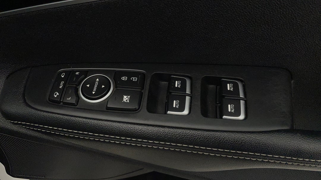 Drivers Side Door Panel Controls