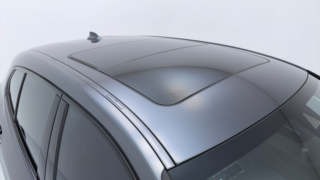 Roof/Sunroof View