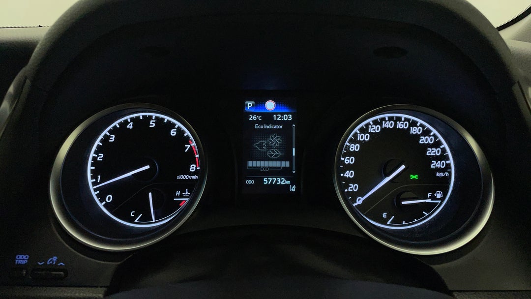 Odometer View