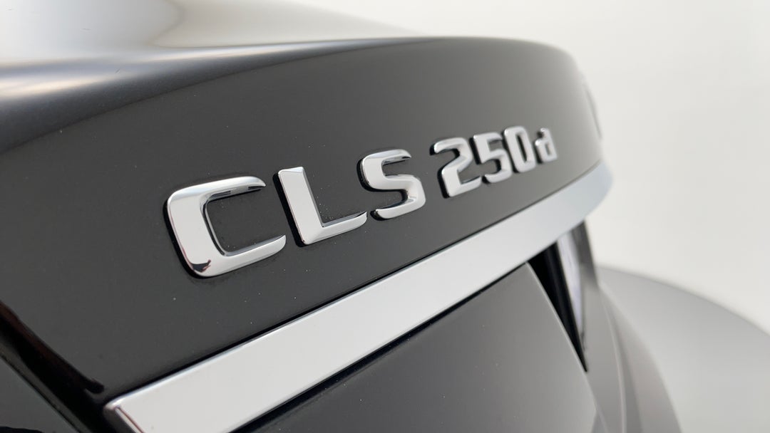 Badge (Boot Left Side)