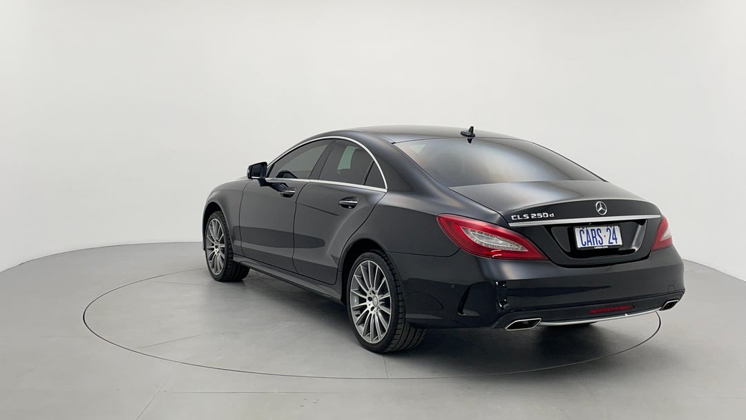 Left Back Diagonal (45- Degree) View