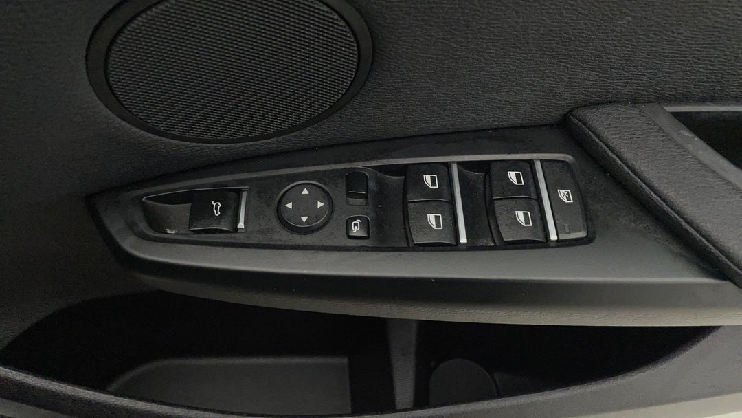 Drivers Side Door Panel Controls