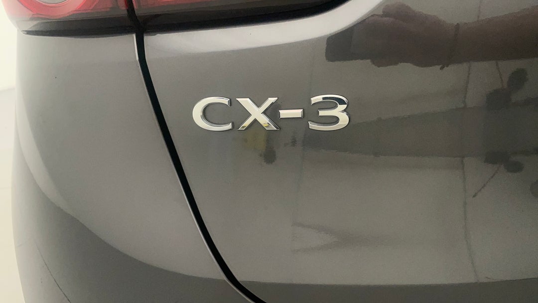 Badge (Boot Left Side)