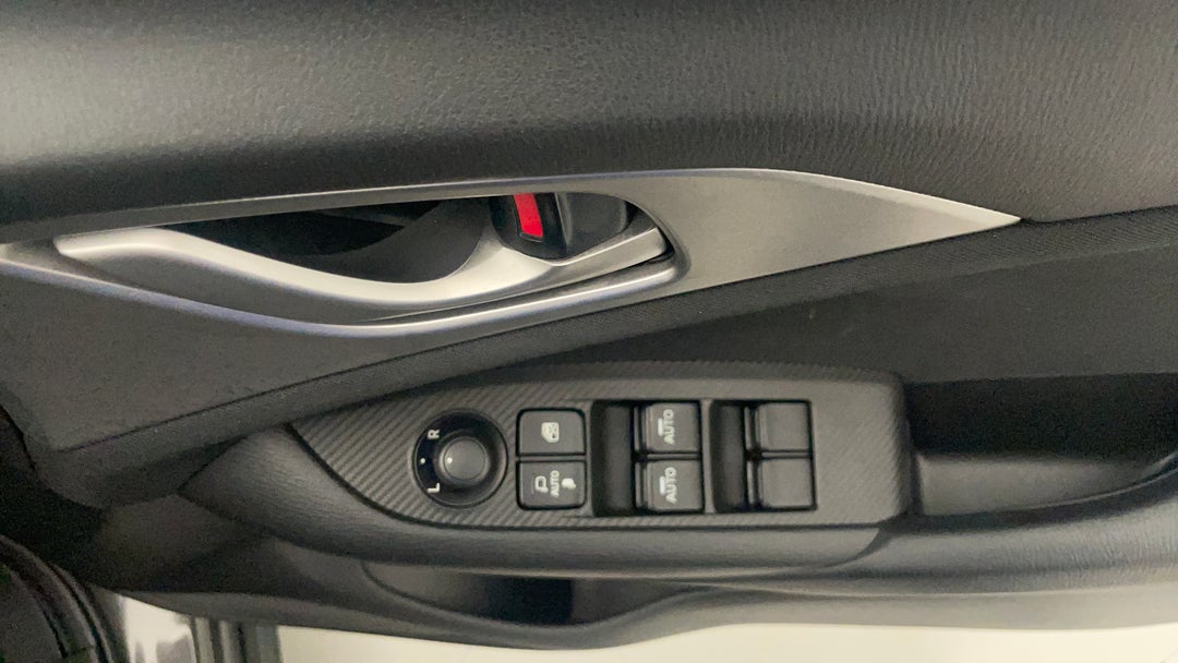 Drivers Side Door Panel Controls