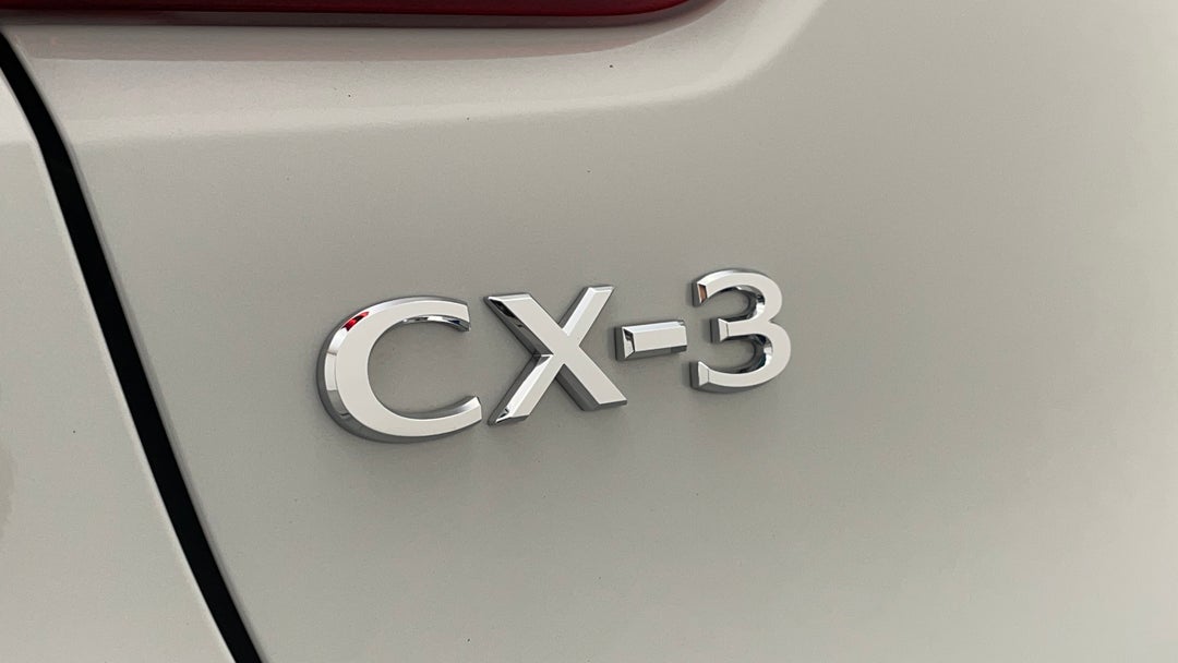 Badge (Boot Left Side)