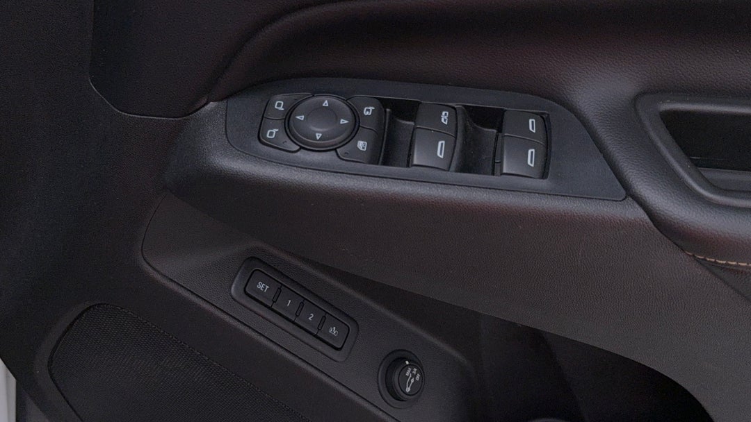 Drivers Side Door Panel Controls