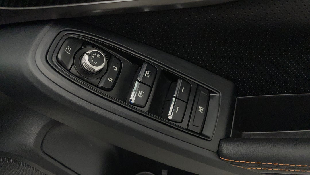 Drivers Side Door Panel Controls