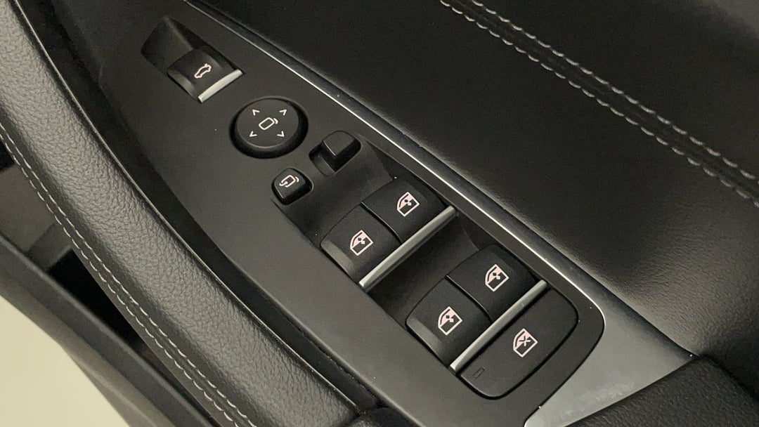 Drivers Side Door Panel Controls