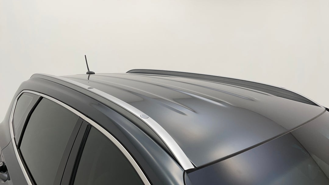 Roof/Sunroof View