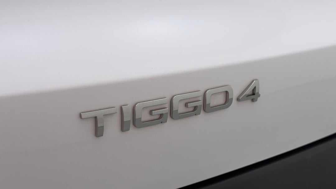 Badge (Boot Left Side)