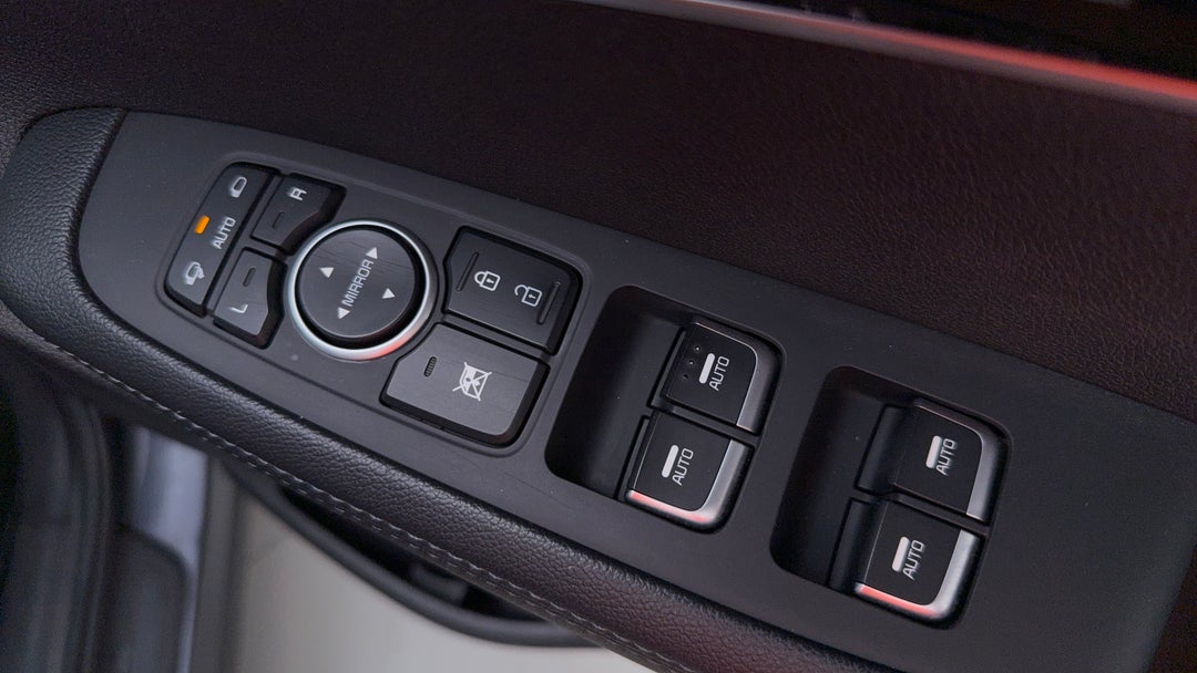 Drivers Side Door Panel Controls