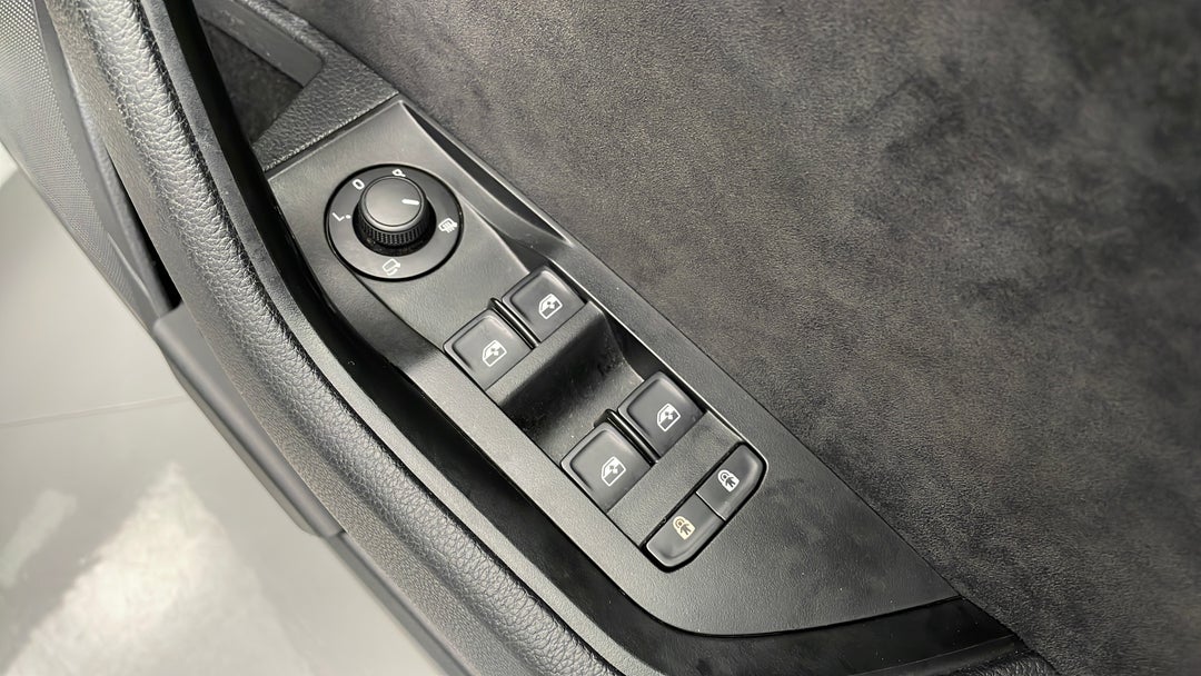 Drivers Side Door Panel Controls