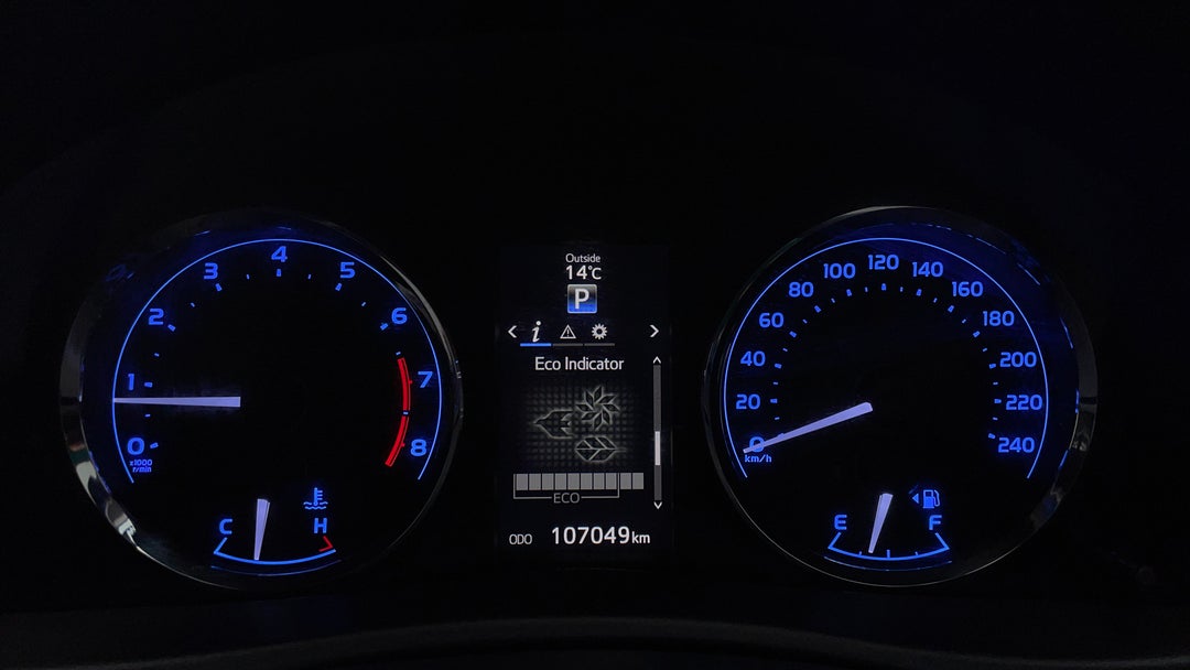 Odometer View