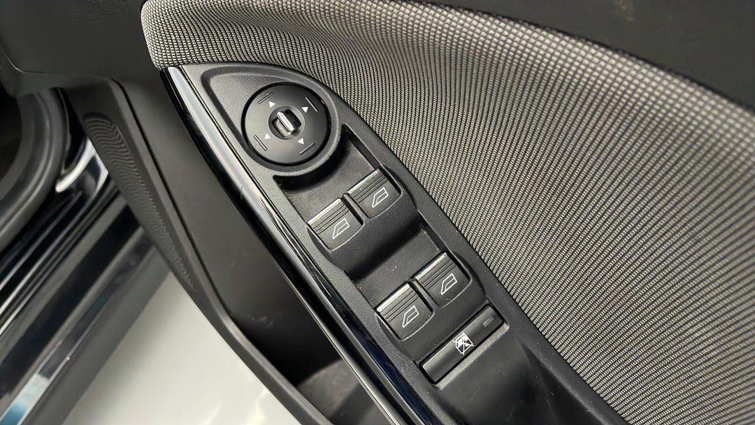 Drivers Side Door Panel Controls