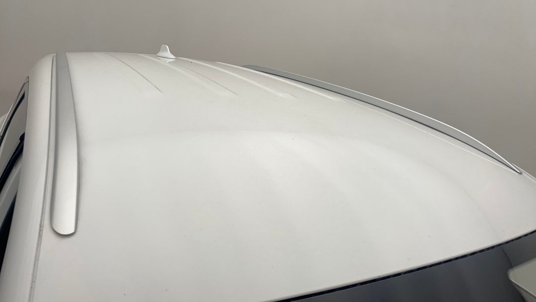 Roof/Sunroof View