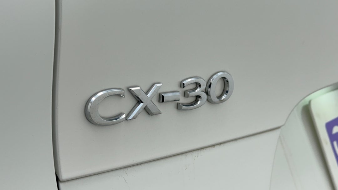 Badge (Boot Left Side)