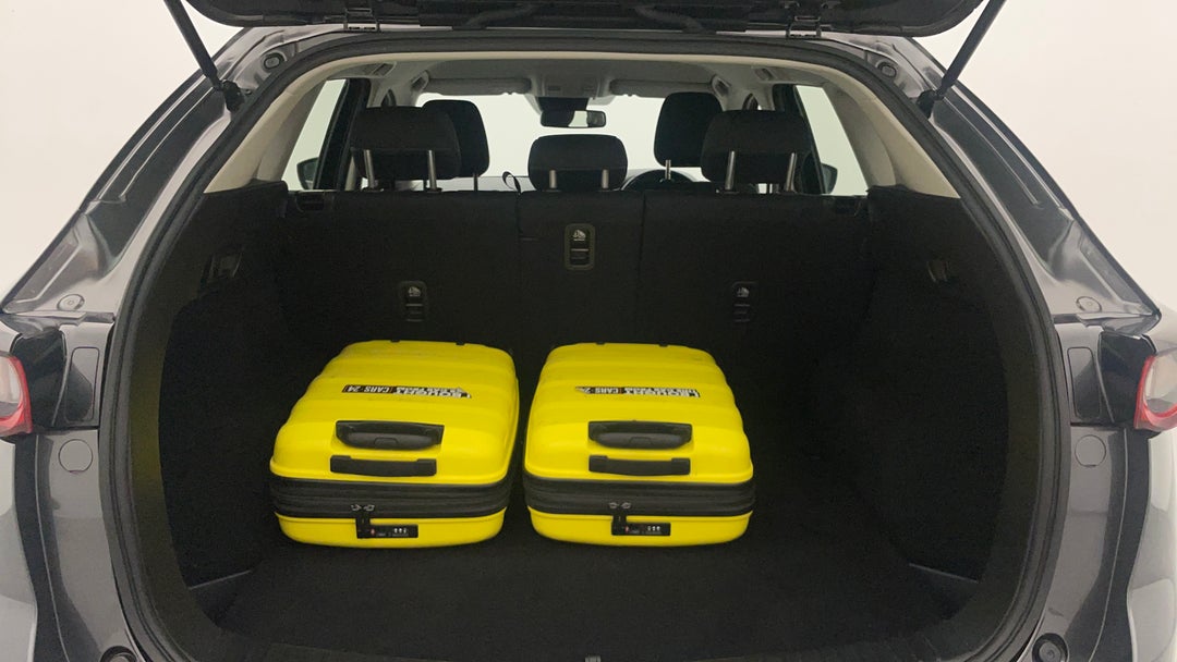 Boot Inside View with Luggage