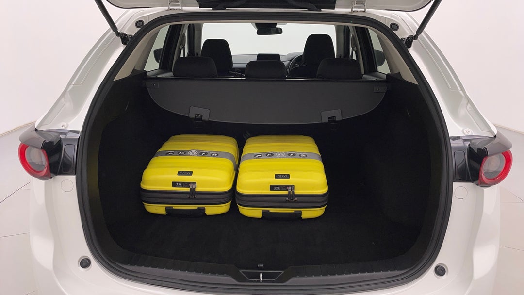 Boot Inside View with Luggage