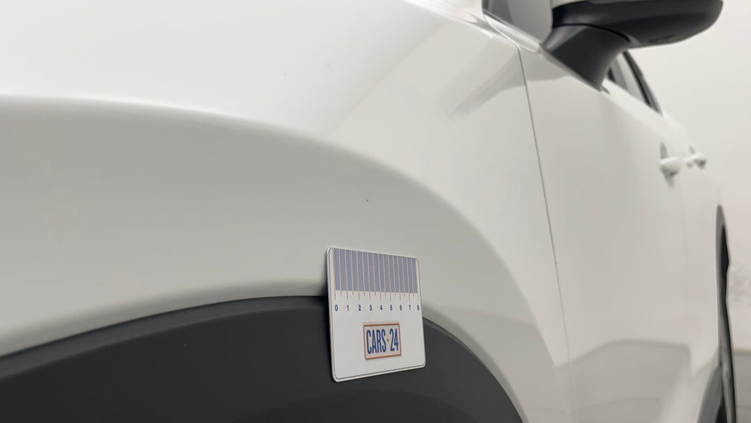 Quarter Panel Front LHS Guard Chip