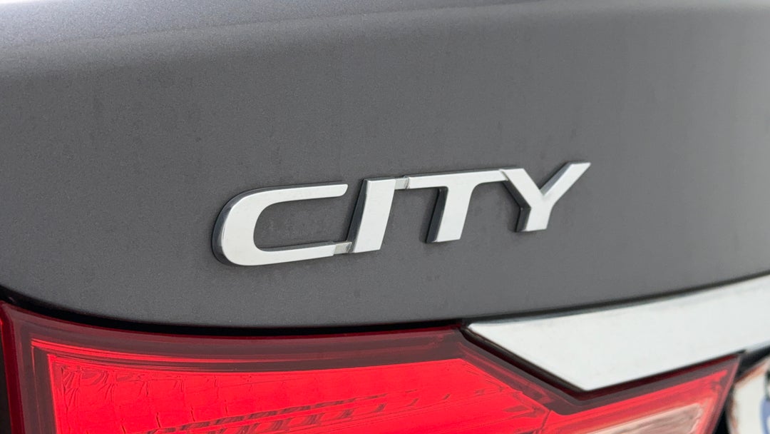 Badge (Boot Left Side)