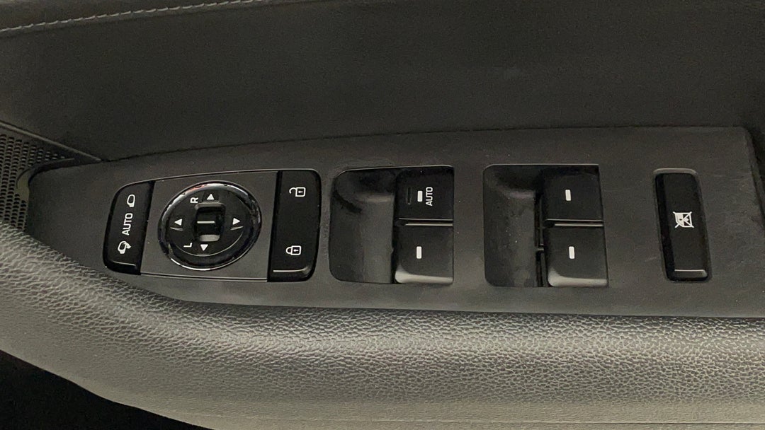 Drivers Side Door Panel Controls