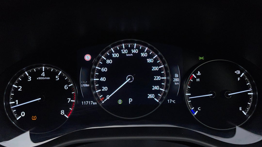 Odometer View