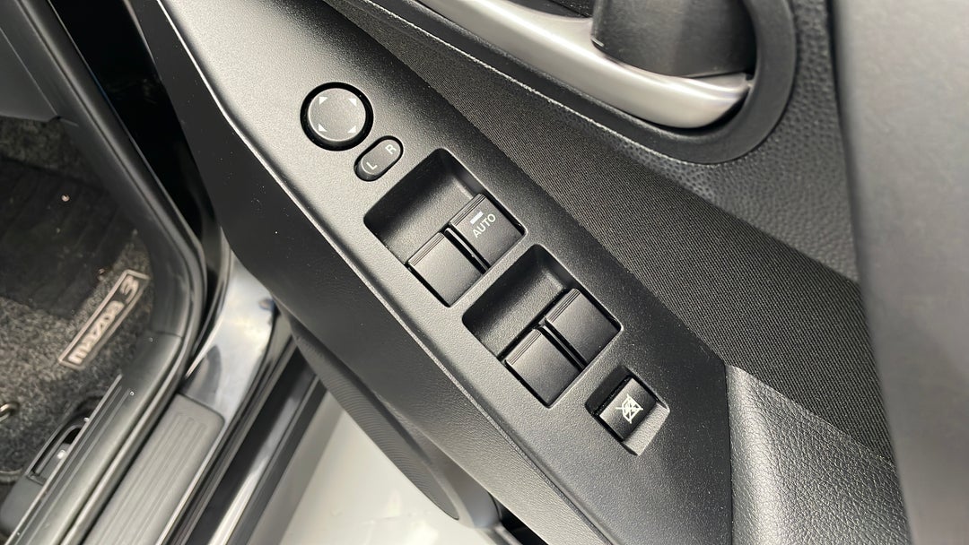 Drivers Side Door Panel Controls