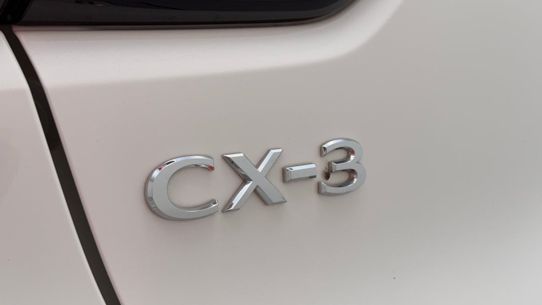 Badge (Boot Left Side)