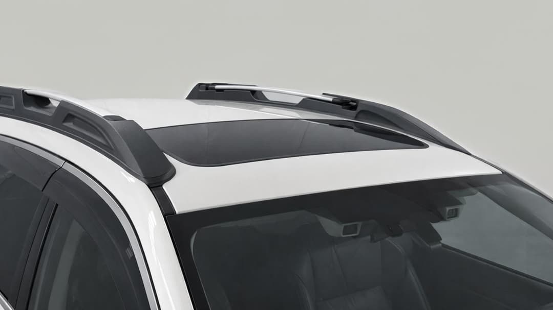 Roof/Sunroof View