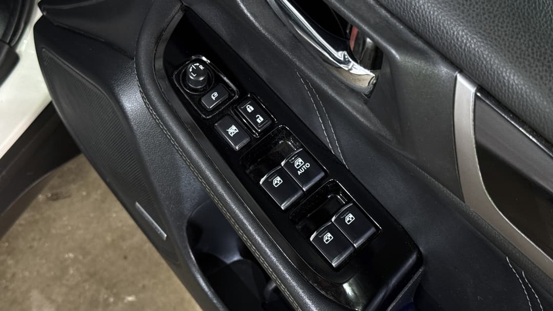 Drivers Side Door Panel Controls