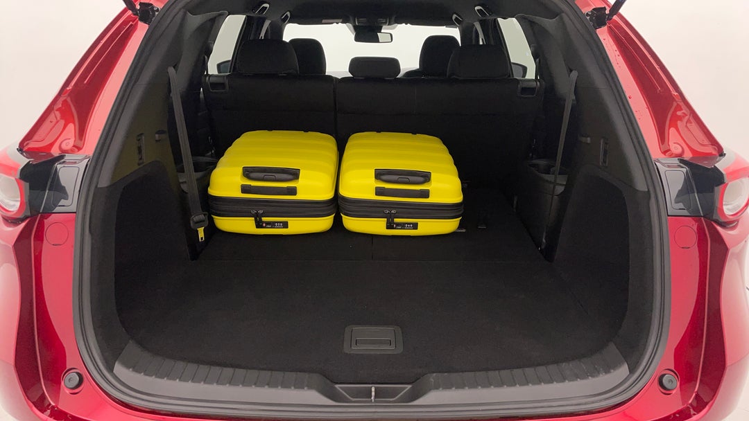 Boot Inside View with Luggage