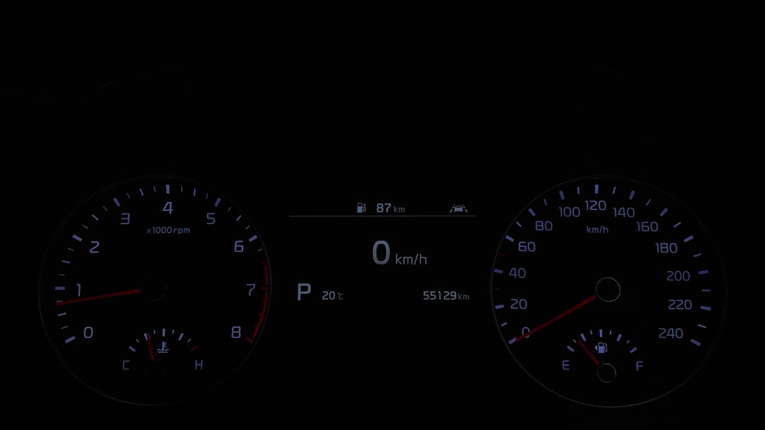 Odometer View