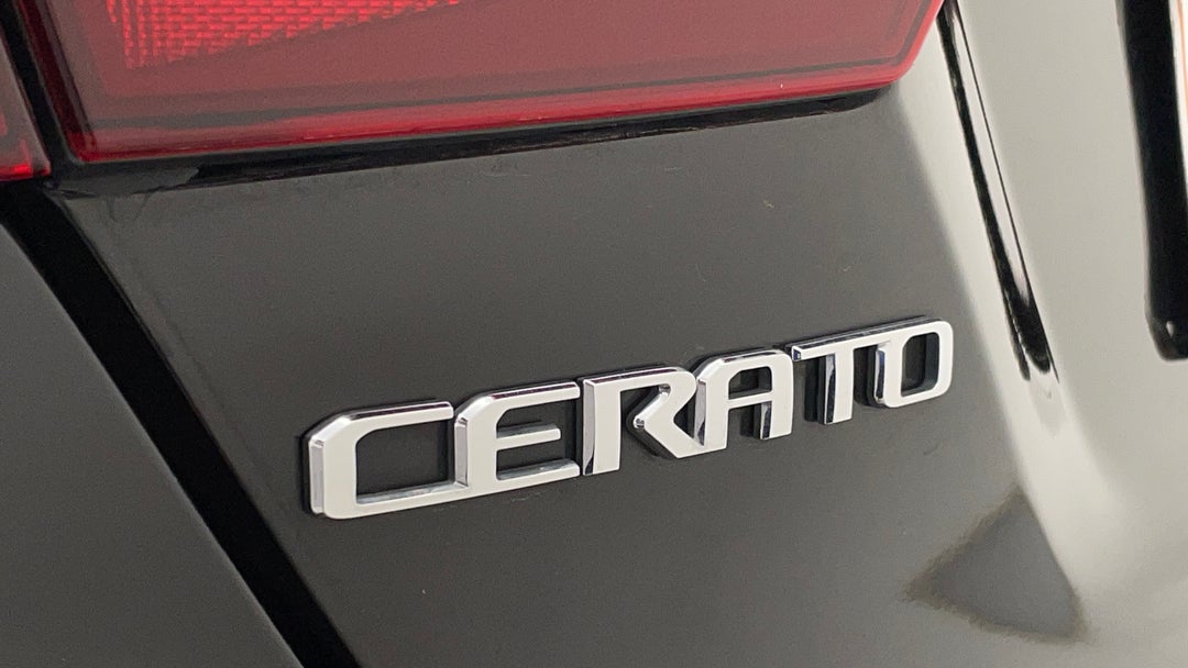 Badge (Boot Left Side)