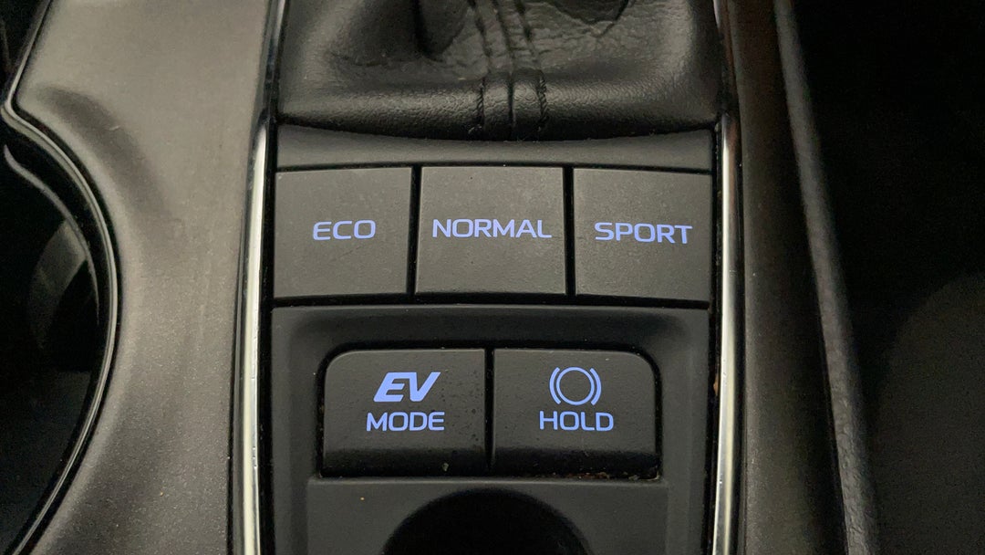 Utility Switches/Buttons