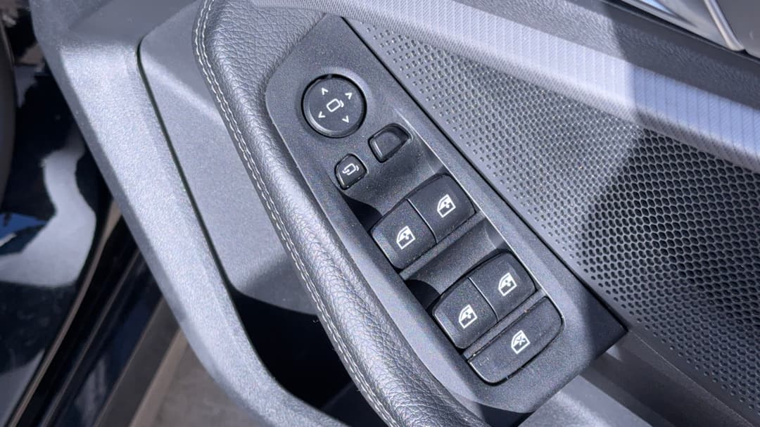Drivers Side Door Panel Controls